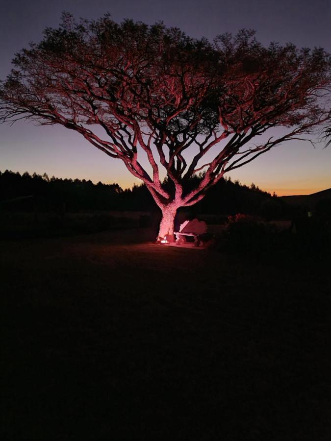 Forest Hill Country Lodge Piet Retief Exterior foto