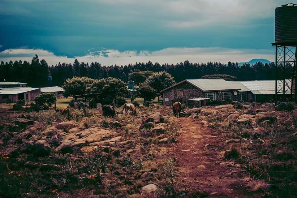 Forest Hill Country Lodge Piet Retief Exterior foto