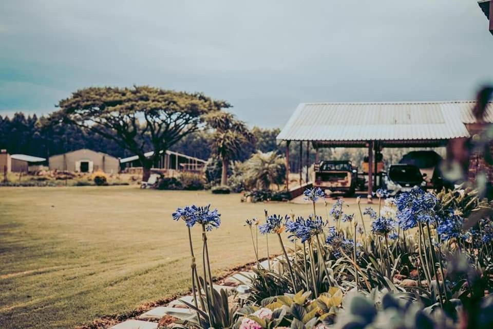 Forest Hill Country Lodge Piet Retief Exterior foto
